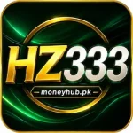 HZ333 Game Logo