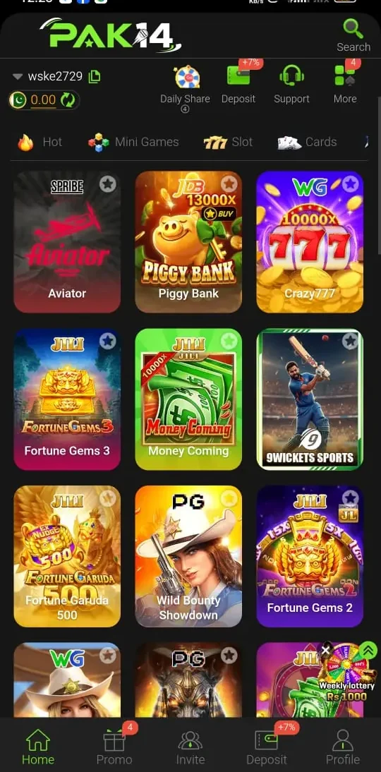 PAK14 Game interface