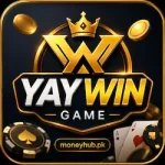 Yaywin Game logo