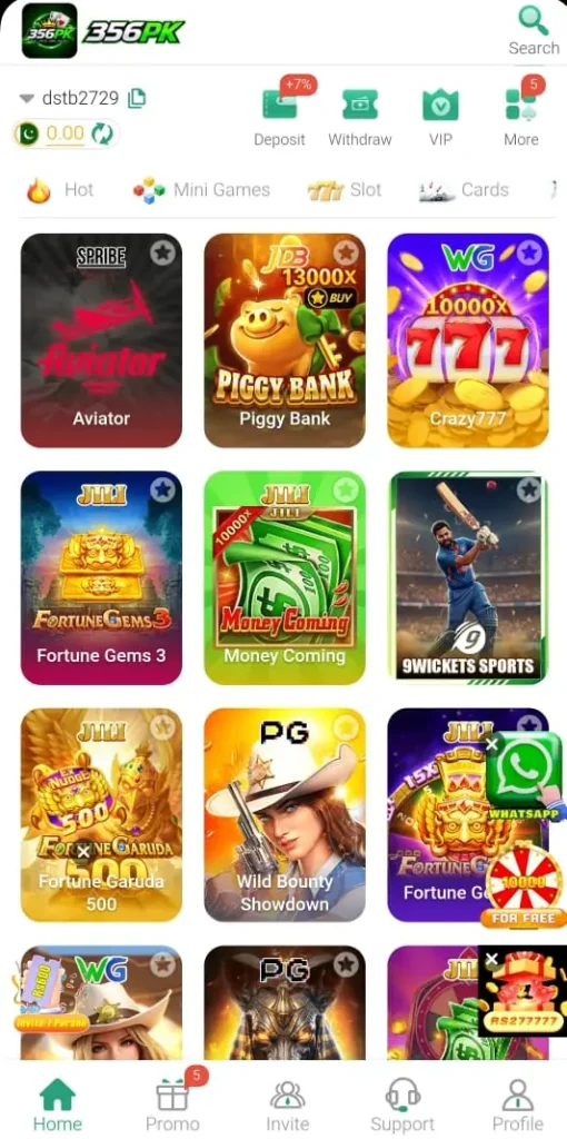 365PK APK Interface