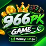 966PK APP LOGO