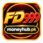 FD999 APK LOGO